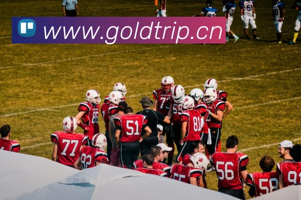 App Interface Preview